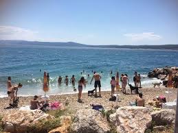 Kroatien reiseführer für ihren urlaub in fazana mit einem großen angebot an ferienwohnungen. Sehr Schoner Hundestrand Monty S Dog Beach And Bar Crikvenica Reisebewertungen Tripadvisor