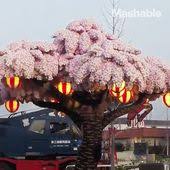 This Tree Made Out Of 800 000 Lego Bricks Just Broke A World Record Sakura Tree Cherry Blossom Tree Legoland