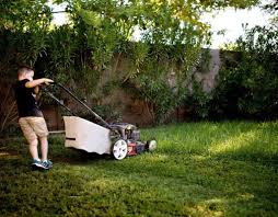 A lawn mowing service is ideal in cases where your lawn is growing at a rapid pace and, therefore, in need. Your Child S First Part Time Job Tweens To Teens Kidspot