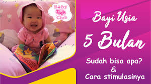 Tips yang bisa anda lakukan pada perkembangan bayi 5 bulan adalah mendorong dan merangsang pertumbuhan dan kemampuan bayi. Perkembangan Bayi Usia 5 Bulan Youtube