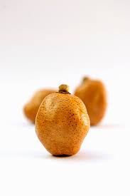 Image result for Hyphaene