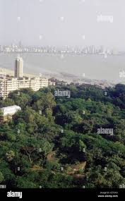 Tower silence bombay mumbai india hi ...