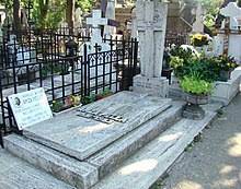 He later played at the craiova theatre, then at the small theatre, nottara theatre, comedy theatre and the national theatre bucharest, being also a professor at the academy of theatre and film in. Amza Pellea Wikipedia