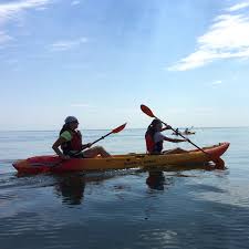 For almost 40 years ocean kayak has been engineering and innovating. Kayak Ocean Tour Ocean Rentals
