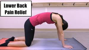 Get a 16.000 second woman exercising, doing cat camel stock footage at 29.97fps. Cat Camel Exercise For Lower Back Pain Youtube