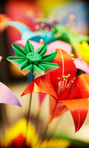 CATALOGUE OF RESULTS 2015