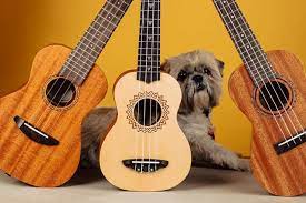 White glass kitchen sinks uke strings labeled guitar : The Best Ukulele For Beginners Reviews By Wirecutter