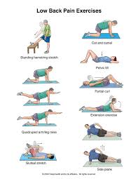 Maybe you have had an episode of lower back pain and never want to experience that feeling again? Pin On Fit Inspirations
