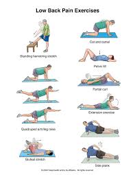 There are many kinds of exercises to develop or improve lower back and core muscle strength. Pin On Fitness And Health