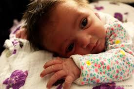 Trista Wolter Photography