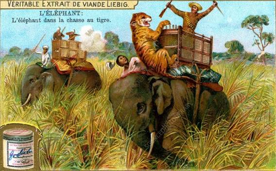 The Elephant on a tiger hunt, c1900 - Stock Image - C045/3005 - Science Photo Library