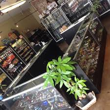 Go behind the scenes at a hollywood studio. Black Derby Smoke Shop Headshop In North Hollywood California