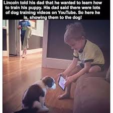 The game is created in rpg maker and was released. Funny Memes The 150 Funniest Memes Of All Time Yellow Octopus