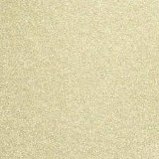 Image result for Bahia Beige 2007 Audi