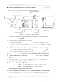 Cell Membrane Worksheet Google Search Biology Lessons Biology Worksheet Biology Classroom
