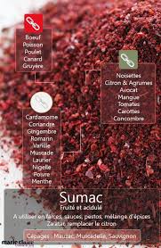Comment Utiliser Le Sumac Epices Et Herbes Epices Piment