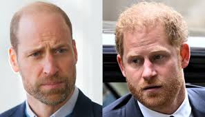 Prince William releases meaningful statement as Harry lands in legal trouble