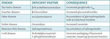 Also in nieman pick you have the cytoplasmic vacuolation and the bone marrow involvement. Case 28 Clinical Cases Case Files Biochemistry 3rd Edition 2015