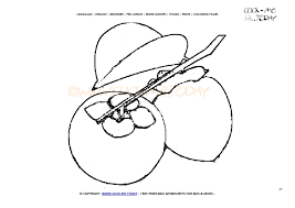 Unlike many other fruits, the world learned about persimmon only recently, less than two hundred years ago. Persimmon Coloring Page Free Printable Persimmon Cut Out Template