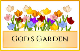 God S Garden We Are All Precious Flowers In God S Garden God Invented Gardening So He Knows Just What To Do In Order To Increase The Yi Plants Flowers Garden