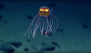 Cea mai adanca pestera din lume. Cea Mai Mare Adancime Din Lume Groapa Marianelor Freepedia