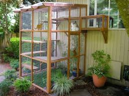 We did not find results for: Are Catios Coyote Safe Catio Spaces