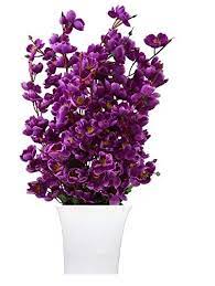 We did not find results for: Buy Paradise Enterprises Artificial Flower With Pot Online At Low Prices In India Amazon In