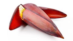 Semua tentang gambar bunga ini adalah gambaran betapa indahnya alam yang ada di seluruh dunia. Ini 7 Manfaat Jantung Pisang Bagi Kesehatan