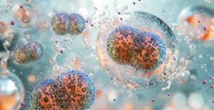 England to begin vaccination program to prevent gonorrhea | CIDRAP