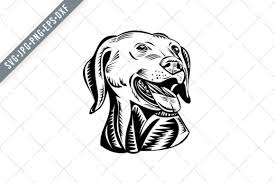 Download Head Of A Labrador Retriever Gun Dog Graphic By Patrimonio Creative Fabrica SVG Cut Files