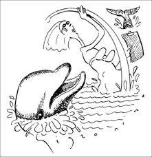 The baby swims in this position to catch mom's slipstream, allowing the calf to work less hard in order to keep up with its mother. Can Dolphins Rape Humans Washington City Paper