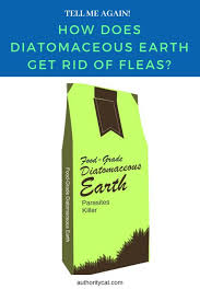 Diatomaceous Earth Is A Non Chemical Way To Get Rid Of Fleas On Cats Or Dogs And Around The Ho Cat Pictures For Kids Diatomaceous Earth Cat Care Tips