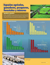 Jamb 2020/2021 brochure is out now, if you belong to any of the faculty or courses listed below, i suggest you click in any one of them to download yours. Espacios Agricolas Ganaderos Pesqueros Forestales Y Mineros Capitulo 4 Leccion 1 Apoyo Primaria