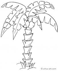 Palme Ausmalbild Gratis Ausdrucken Ausmalen Artus Art