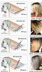 Pin On Step By Step Hair Guide Frisur