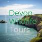 SOMERSET: Ham Wall & Westhay Moor (Day trip)
