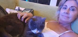 💜REUNITED💜 late last night I matched a missing cat (Huey) post to a found  cat post. 💜Today 17/08/25 after 4weeks missing from Muscliff, it was him  in Ferndown!! being cared for by