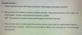 Maybe you would like to learn more about one of these? Extension Questions 1 Cellular Respiration Occurs Chegg Com