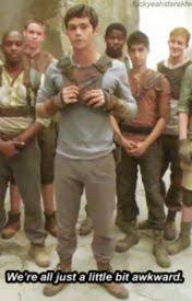 Infinite Realms At Least I Have You Newt X Thomas Sangster X Reader Chapter 10 Manage Me I M A Mess Maze Runner Newt Maze Runner Maze