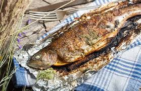 Forelle Grillen Gewusst Wie Forelle Grillen Lachsforelle Grillen Forelle Gebraten