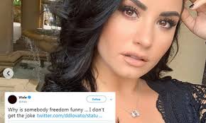Poot lovato is the nickname given to american singer and actress demi lovato based on an unflattering photograph of the celebrity that was uploaded to tumblr in october 2015. Demi Lovato Quits Twitter After Laughing At 21 Savage Memes Following His Ice Arrest Daily Mail Online
