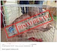 Babi ngepet ditangkap warga jakarta utara. Kementerian Komunikasi Dan Informatika