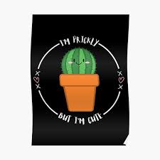 Whats it called again when uthinkurcrushlikes u ohveamhimagination unnybeing.com 31 most funny romantic. Cactus Joke Posters Redbubble