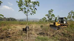 Image result for indigenous cambodian people land