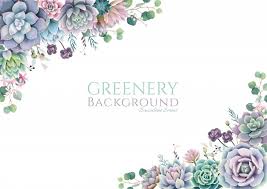 Free Succulent Images