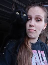 Lost Cat Yogi in Franklin Woods