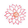 Find the perfect pond from above stock illustrations from getty images. 1