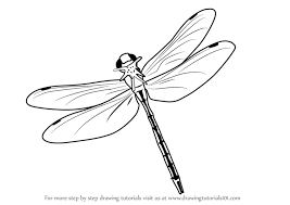 Maybe you would like to learn more about one of these? Draw A Dragonfly Easy Novocom Top