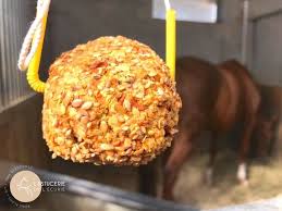 La Friandise A Suspendre Dans Le Box Recette Bio Diy Friandises Pour Cheval Friandises Soins Des Chevaux