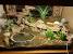 20 Gallon Leopard Gecko Tank